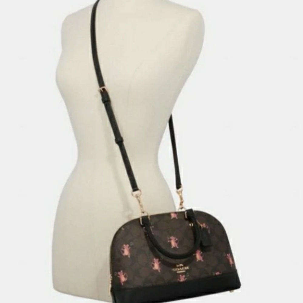 Coach Sling tote bag